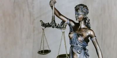 BSFZ rejection and appeal